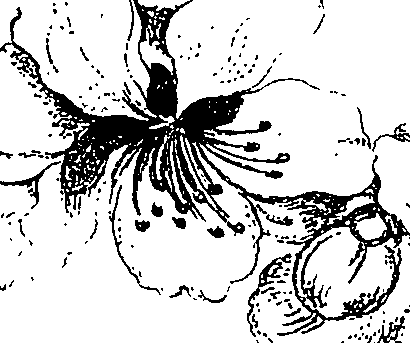 071/071680030001060_2.png