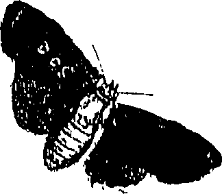 071/071680030001100_0.png