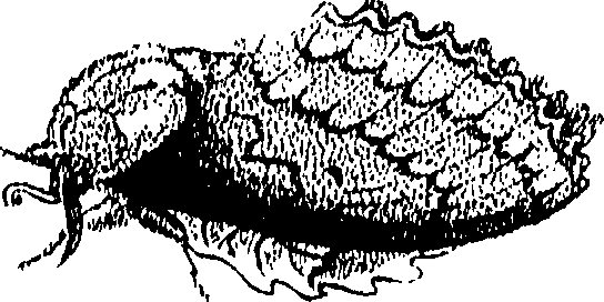 071/071680030001120_0.png