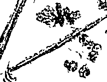 071/071680030001120_2.png