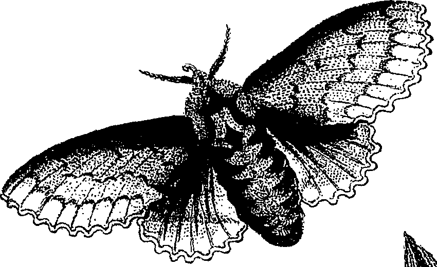 071/071680030001120_3.png