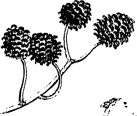 071/071680030001150_0.png