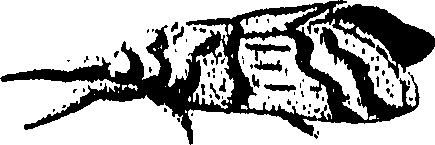 071/071680030001200_0.png