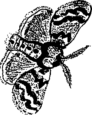 071/071680030001200_1.png