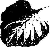 071/071680030001210_0.png