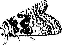 071/071680030001230_0.png