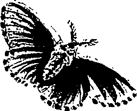 071/071680030001240_0.png