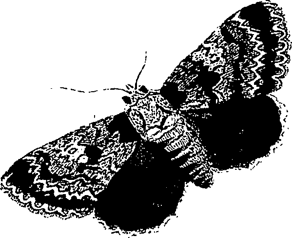 071/071680030001280_0.png