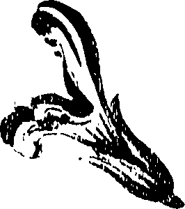 071/071680030001310_0.png