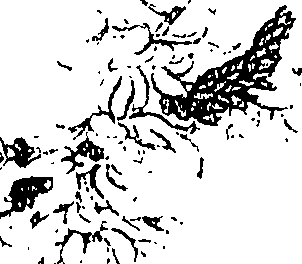 071/071680030001390_0.png