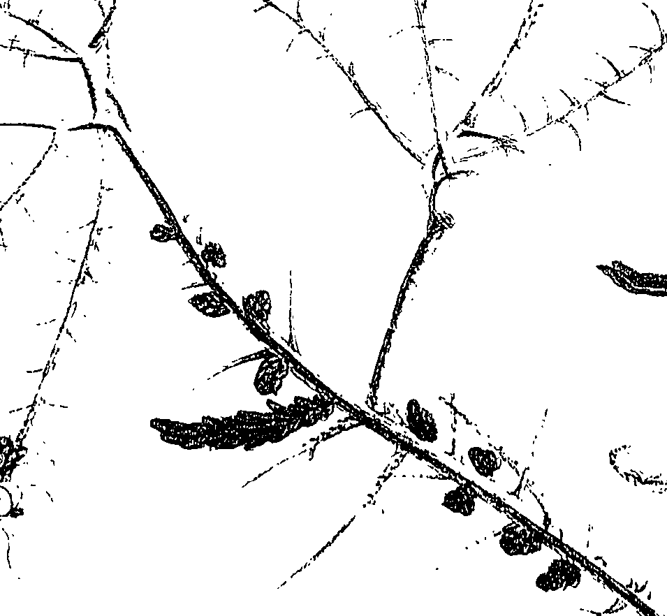 071/071680030001390_1.png