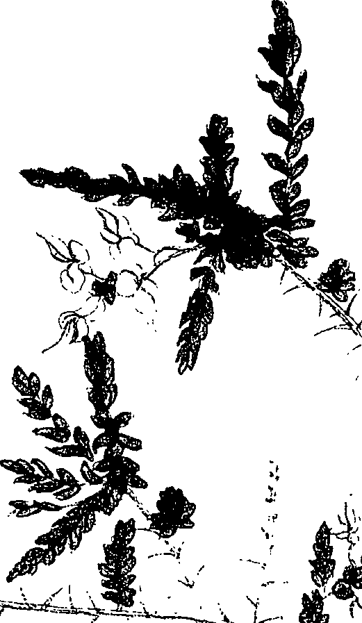 071/071680030001390_2.png