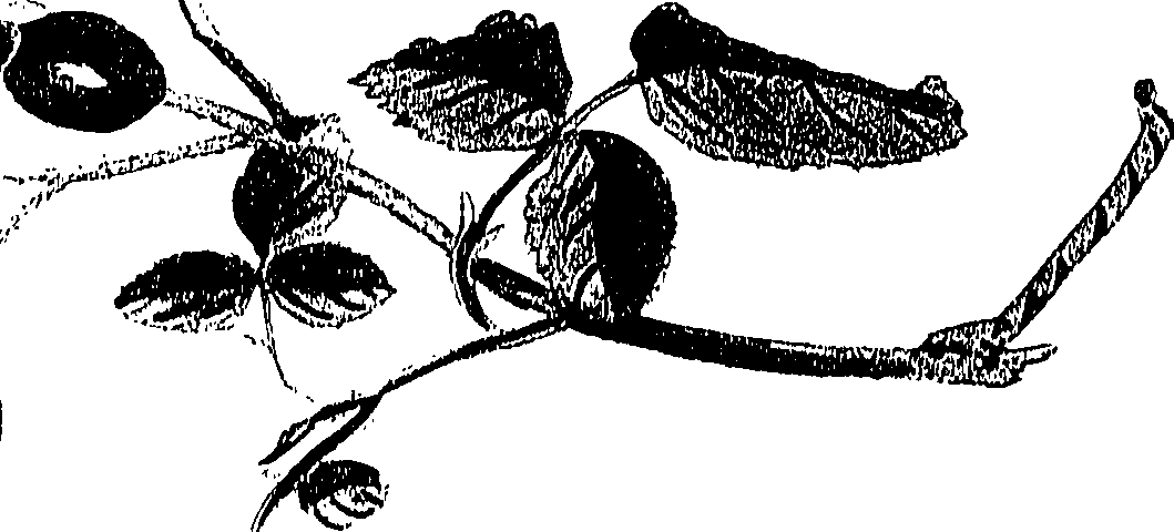 071/071680030001400_0.png