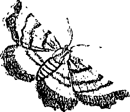 071/071680030001460_0.png