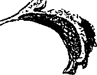 071/071680030001470_0.png