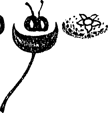 071/071680030001510_1.png