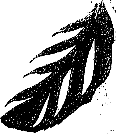 071/071680030001510_2.png