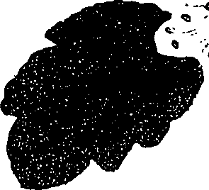 071/071680030001510_3.png