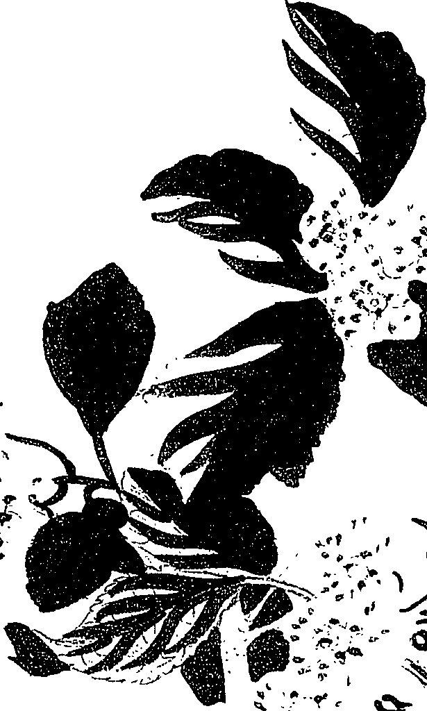 071/071680030001510_4.png