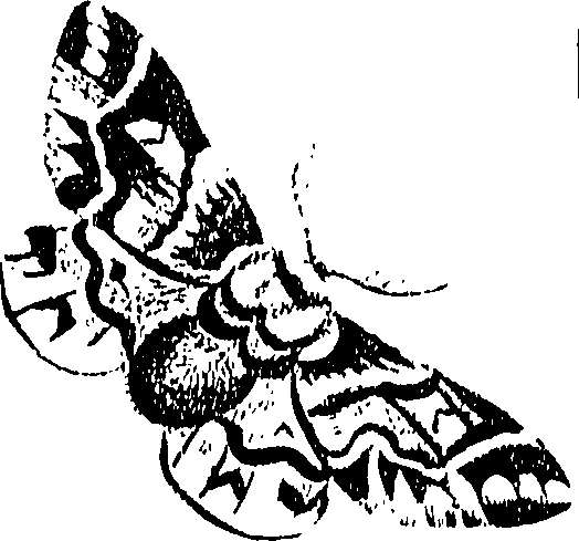 071/071680030001620_0.png