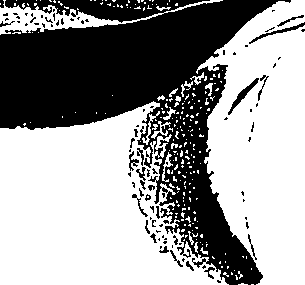 071/071680030001700_1.png