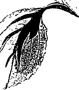 071/071680030001700_2.png