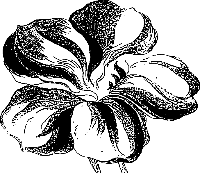 071/071680030001710_0.png