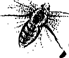 071/071680030001750_0.png