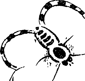 071/071680030001770_0.png