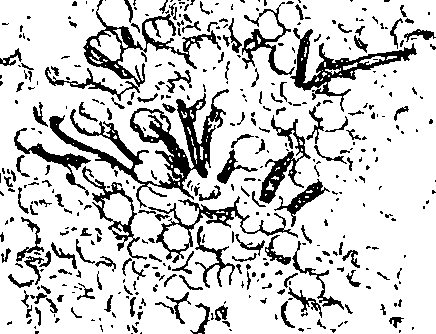 071/071680030001830_0.png