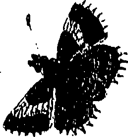 071/071680030001860_0.png
