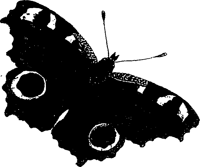 071/071680030001870_0.png