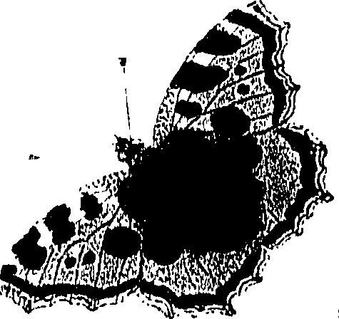 071/071680030001910_0.png
