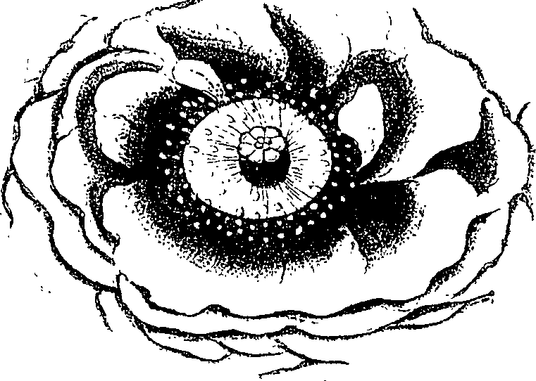 071/071680030001940_1.png