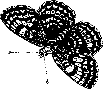 071/071680030001970_0.png