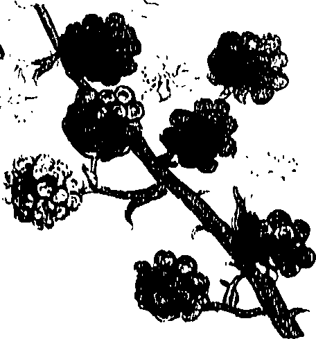 071/071680030002080_0.png