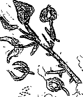 071/071680030002080_1.png