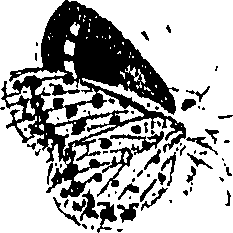 071/071680030002100_1.png