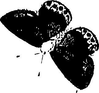 071/071680030002120_0.png