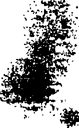 071/071710050101840_0.png