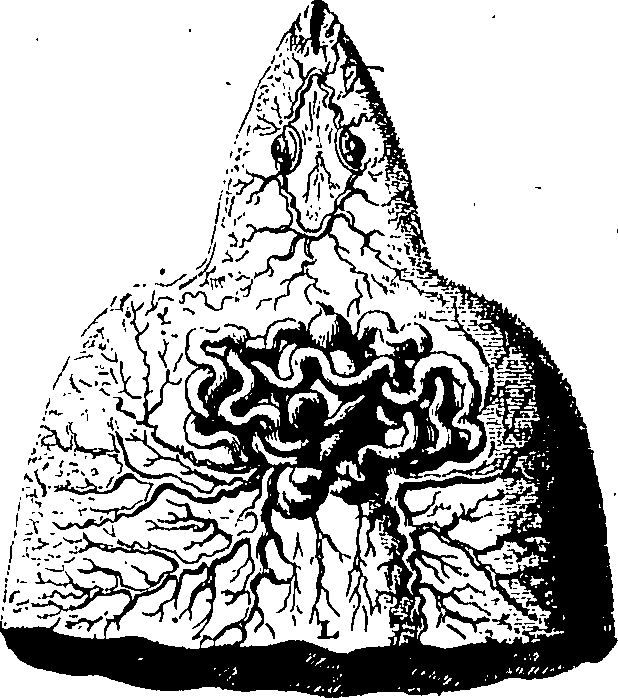 071/071720030000010_1.png