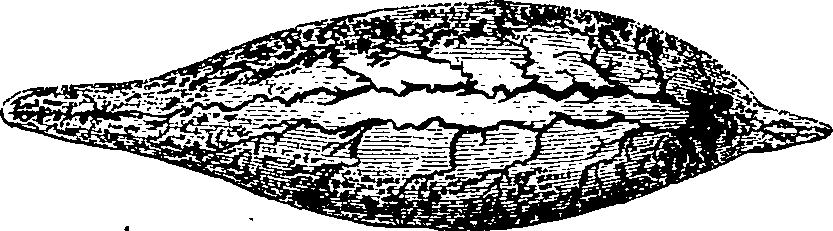 071/071720030000010_3.png