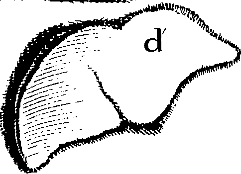 071/071720060000200_0.png