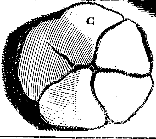 071/071720060000200_1.png