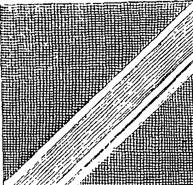 071/071840020000010_1.png