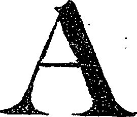 071/071840020007370_2.png