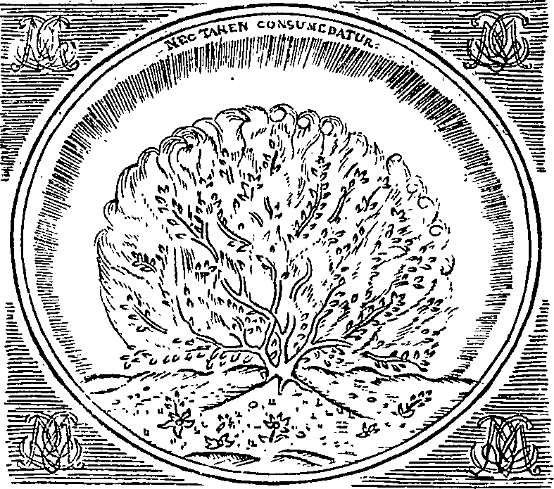 071/071850010100010_0.png