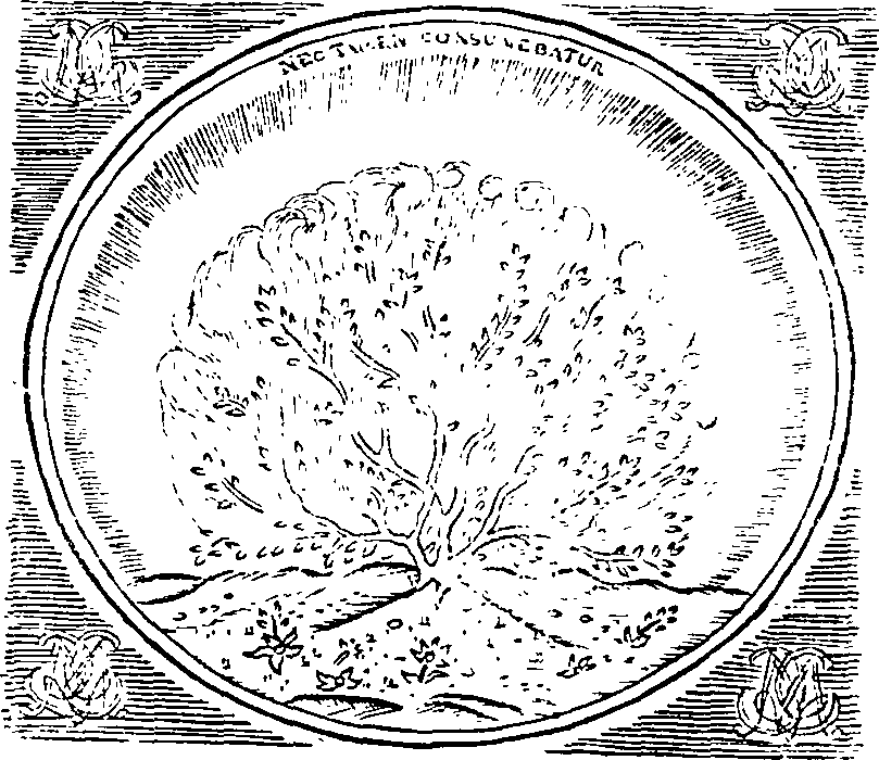 071/071860010200010_0.png