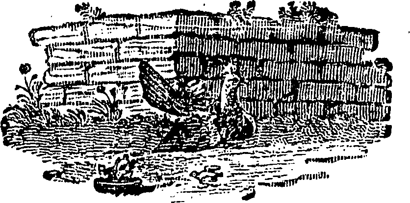 071/071890060000370_0.png