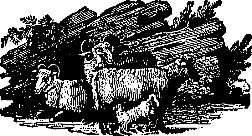 071/071890060000500_0.png